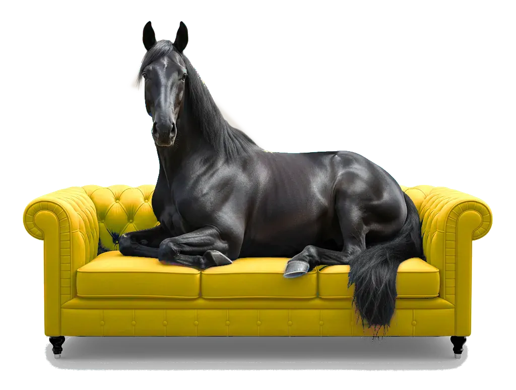 Mi Avenida — Descubre comercios locales